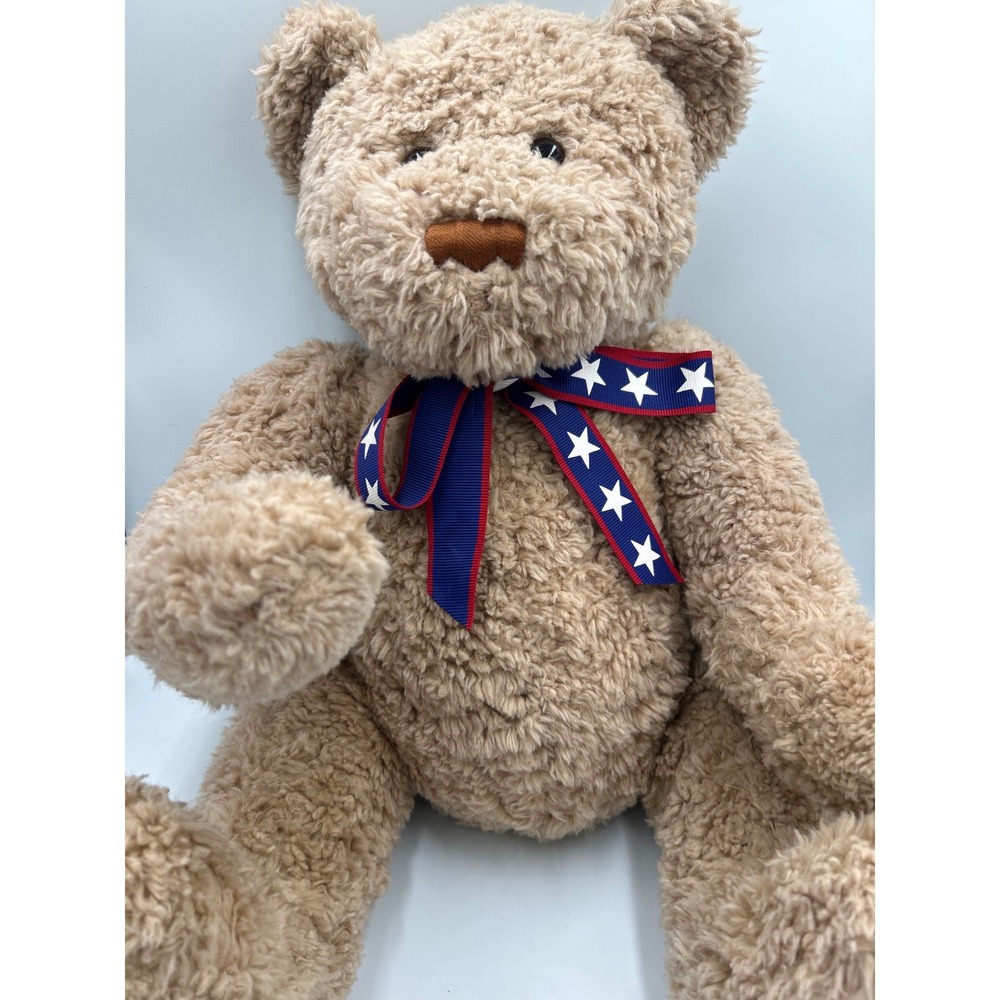 Gund Vintage Wish Bear 2002 100th Anniversary Teddy Bear Patriotic Ribbon